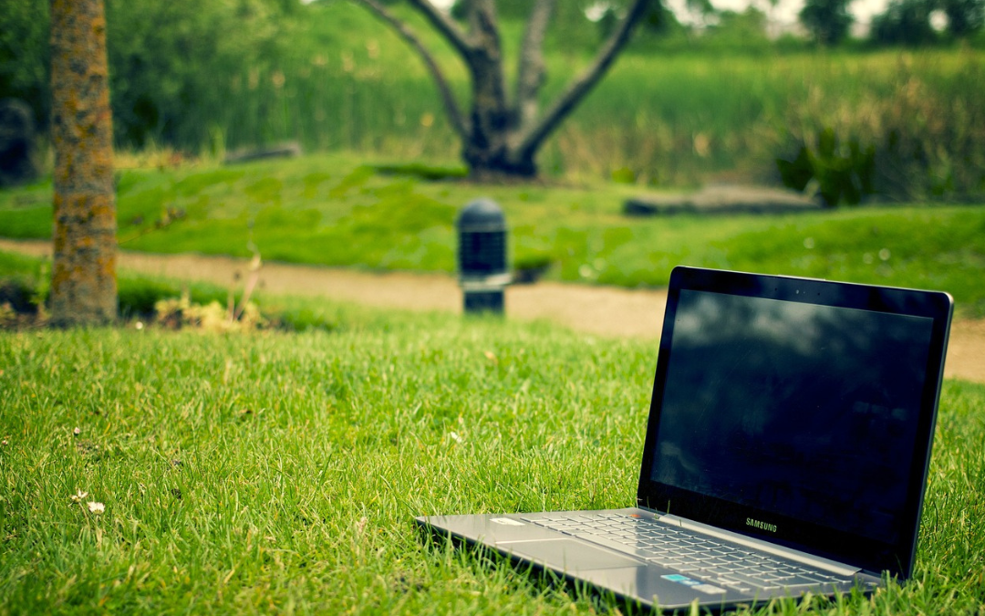 laptop on grass