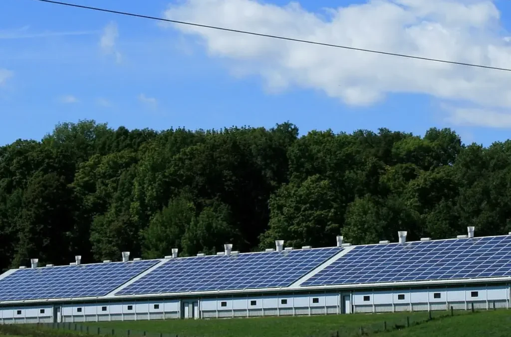 solar farm