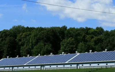 Google builds renewables next to its data centers